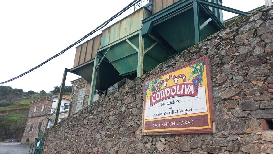 Campo San Antonio Abad: la unión del pueblo de Obejo