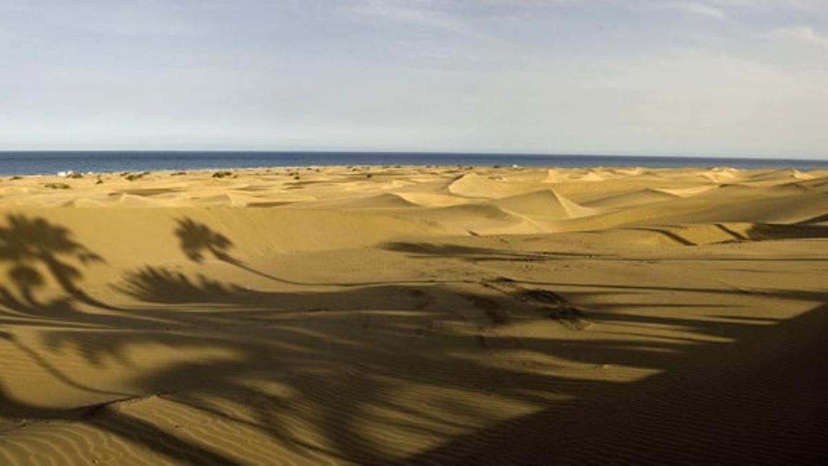 Las dunas de Maspalomas son un ecosistema de playas salvajes.