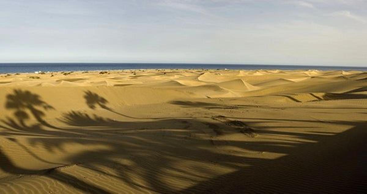 Las dunas de Maspalomas son un ecosistema de playas salvajes.