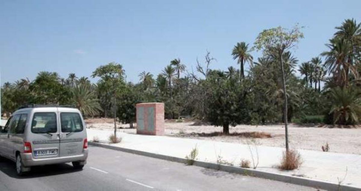 Políticos y ecologistas rechazan un parque multiaventura en el Palmeral