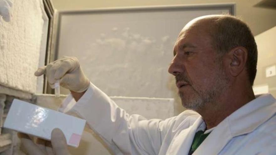 Un equipo español crea una vacuna contra el sida &quot;más potente&quot; que las anteriores