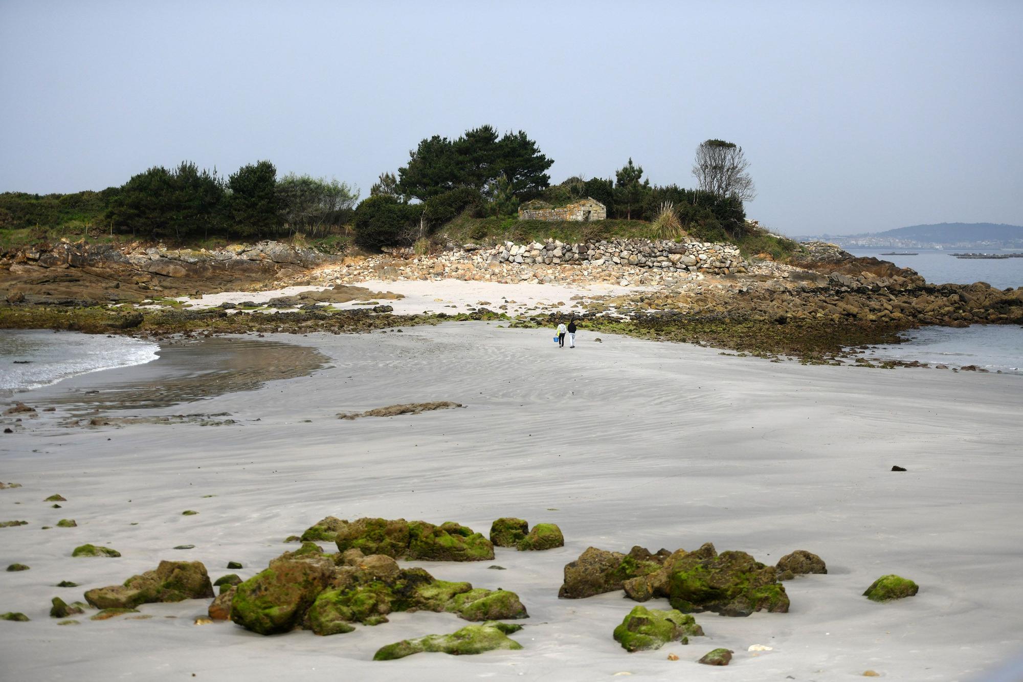 Las mareas vivas descubren el camino a la Illa do Santo do Mar