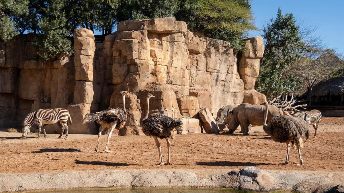 Recinto multiespecie en Bioparc Valencia