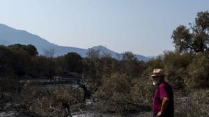 Extremadura pateix 11 dies d’infern amb 63 incedis