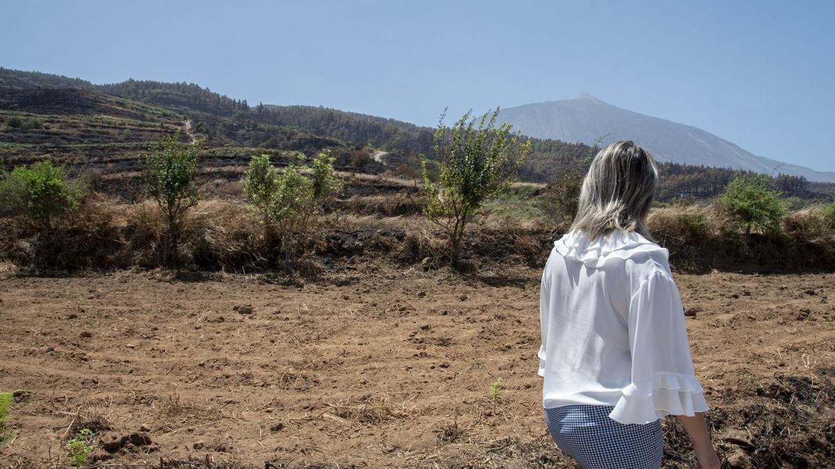 Alicia Vanoostende, consejera de Agricultura del Gobierno canario, en un momento de su visita a la zona quemada, ayer.