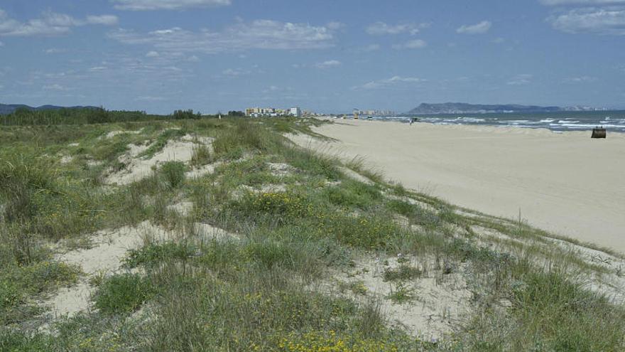 La Universidad de Alicante avisa de que el Consell elimina suelo para 15.000 viviendas en la costa