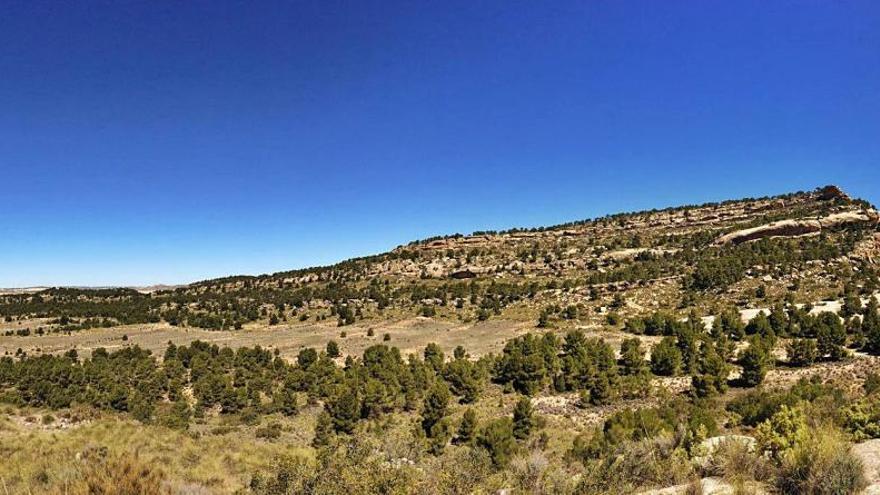 Los terrenos agrícolas al sur del monte Arabí serían la segunda ubicación posible para la planta solar.