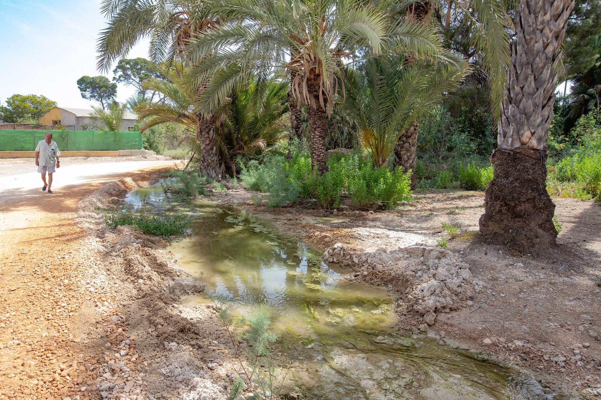 El agua de drenajes agrícolas con fertilizantes del Campo de Salinas desborda las fincas y llega a la laguna de Torrevieja