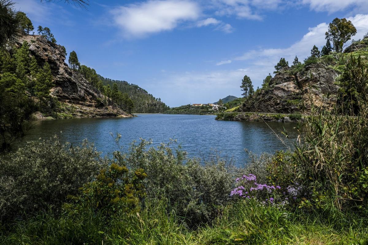 Presas de Gran Canaria, abril 2026