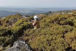 La Xunta autoriza un cuarto parque eólico en el Monte do Gato