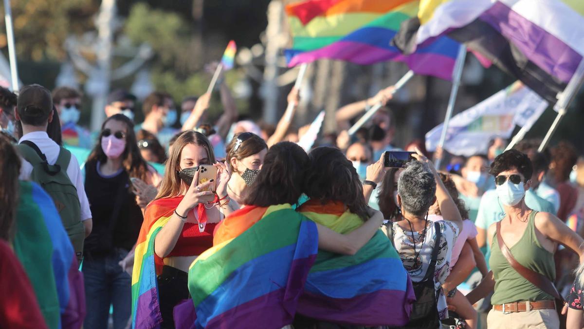 Valencia . Manifestación Dia del Orgullo LGTBI