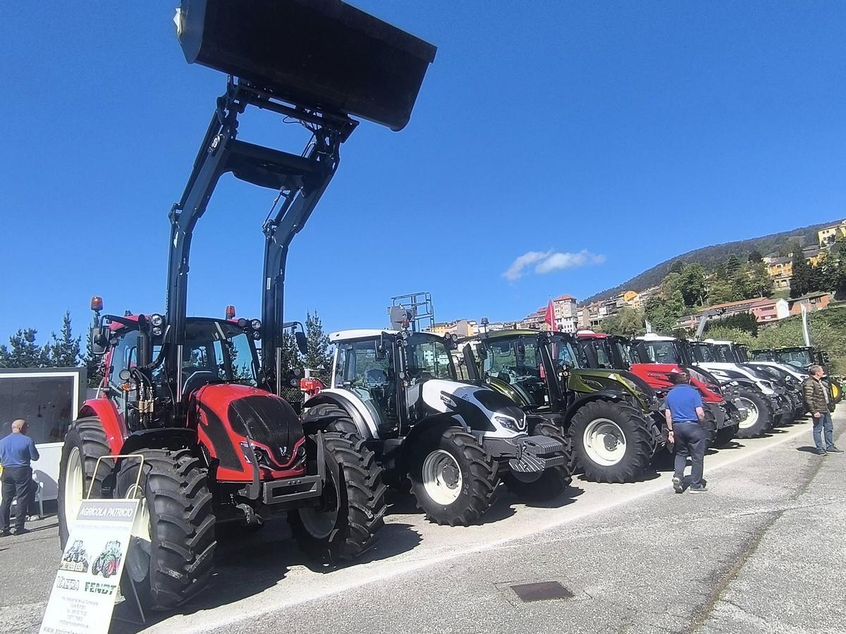 Expositores de la feria en la edición del año pasado