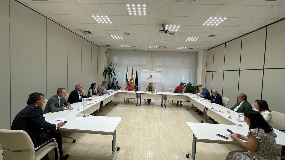 Primer encuentro del Consejo Andaluz de Colegios de Médicos con la consejera de Salud y Consumo de la Junta de Andalucía