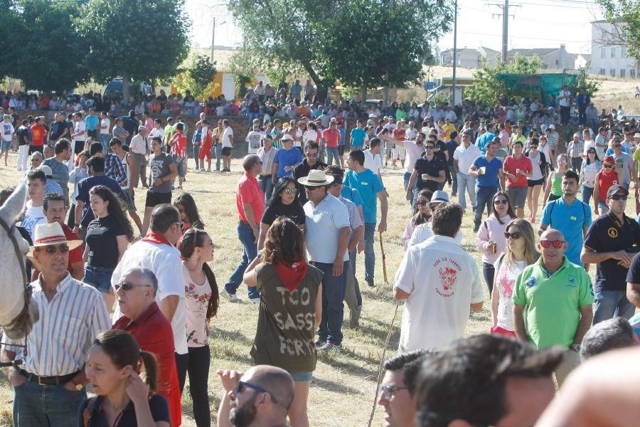 Fiestas en Zamora: Segudos espantes de Fuentesaúco