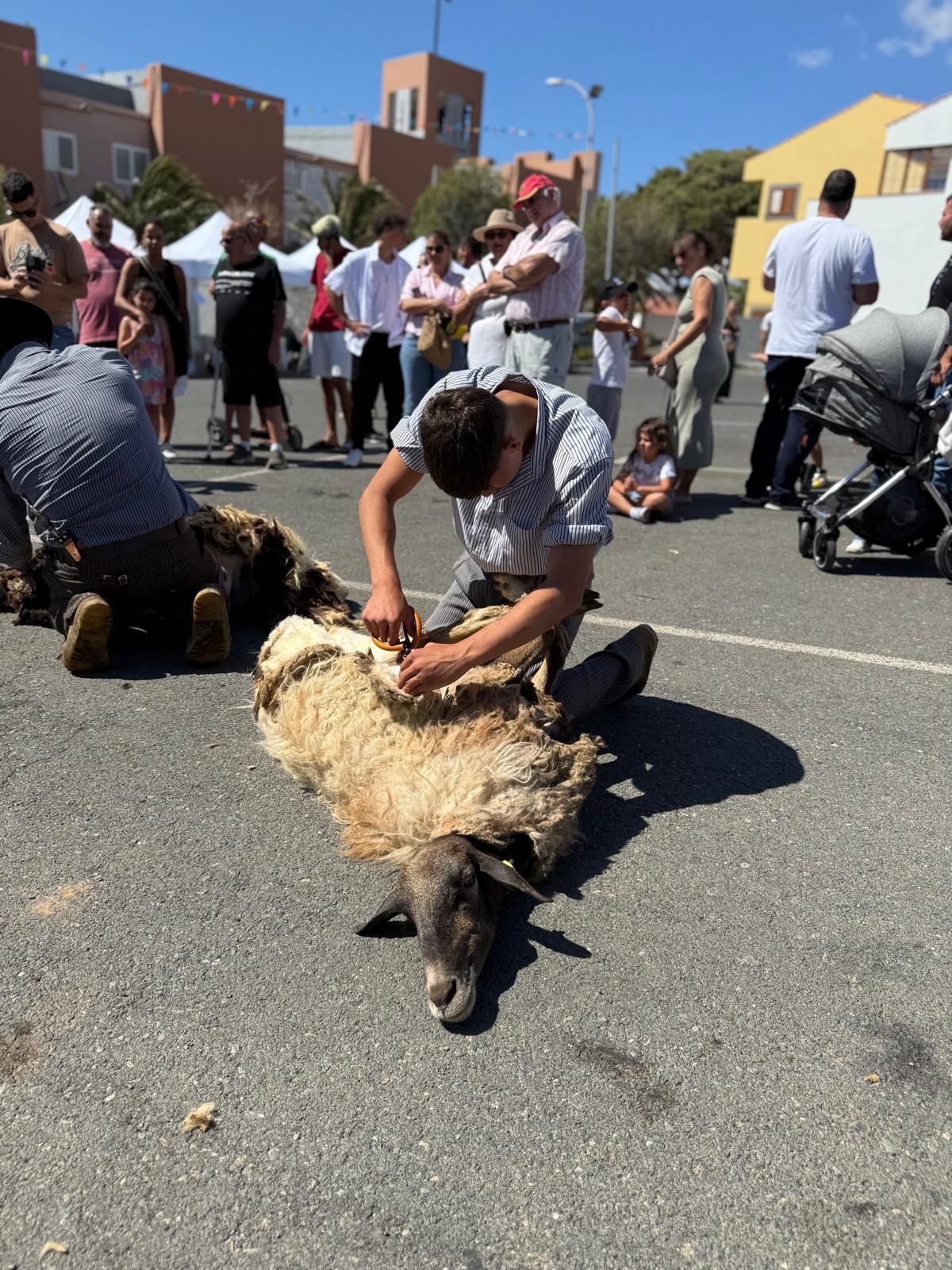 Día grande de las fiestas de San Isidro en Sardina