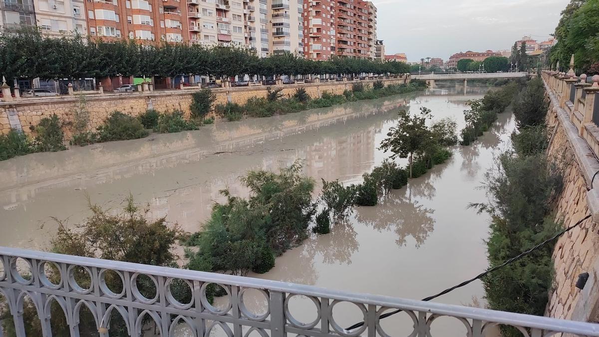 Crecida del río Segura a su paso por Murcia, este sábado.