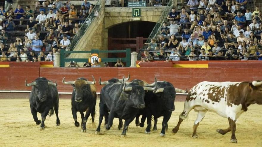 El aviso rojo por ola de calor en Valencia suspende la desencajonada de la Feria de Julio