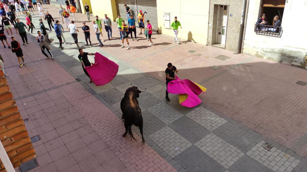 GALERÍA: El toro del cajón de La Reata, de las fiestas de Benavente, en imágenes