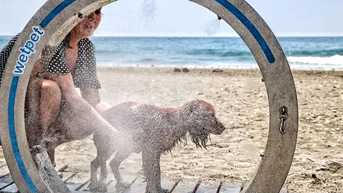 Una ducha para perros en una playa.
