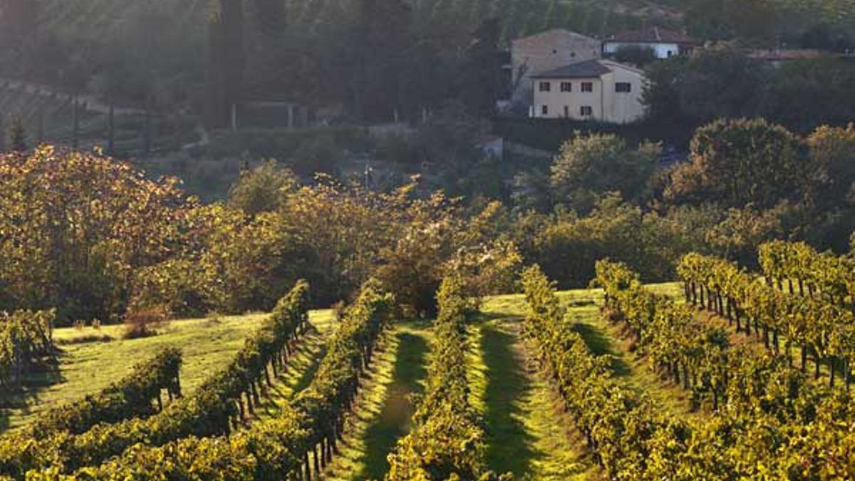 Paisaje vinícola en Chianti.