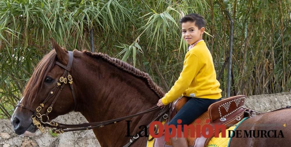 Romería del Bando de los Caballos del Vino de Cara