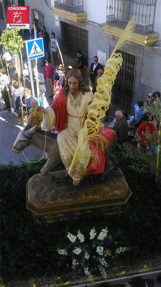 FOTOGALERÍA / El Domingo de Ramos en la provincia