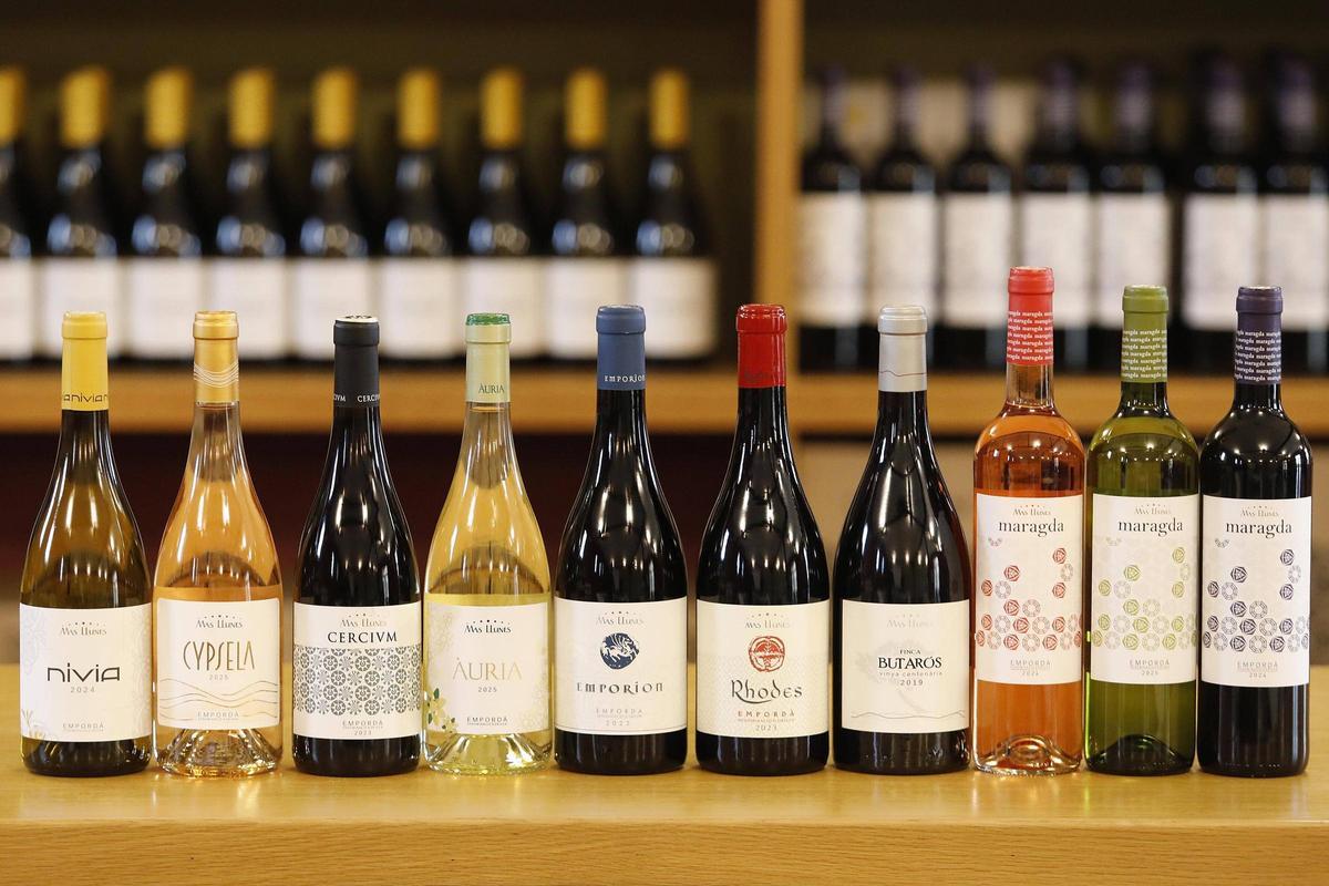 Selecció de vins produïts al celler Mas Llunes.