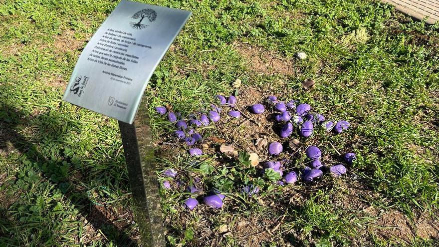 Hoy solo queda la placa y varias piedras en el espacio que ocupaba el árbol.