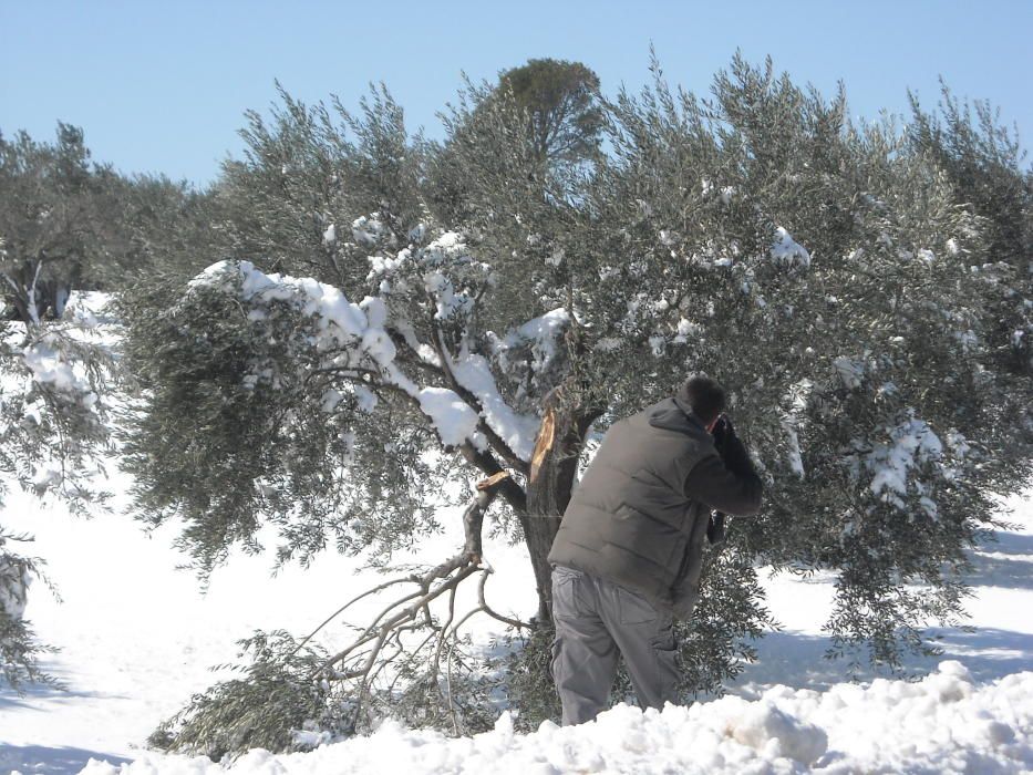 La neu va emblanquinar tota la comarca