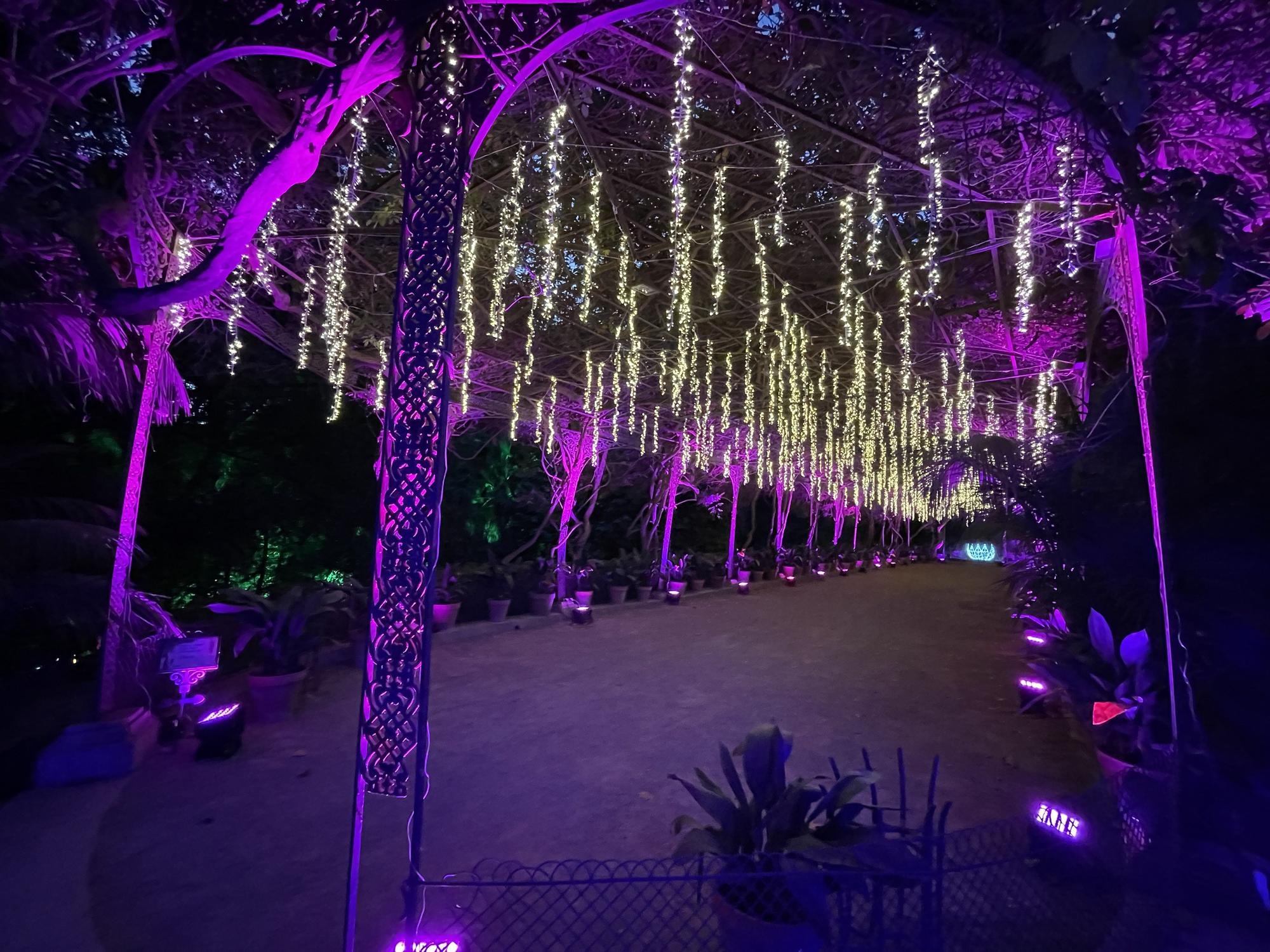 El Jardín Botánico Histórico La Concepción enciende sus luces de Navidad