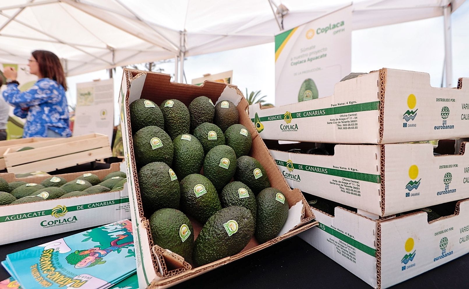 Feria del Aguacate en Tenerife