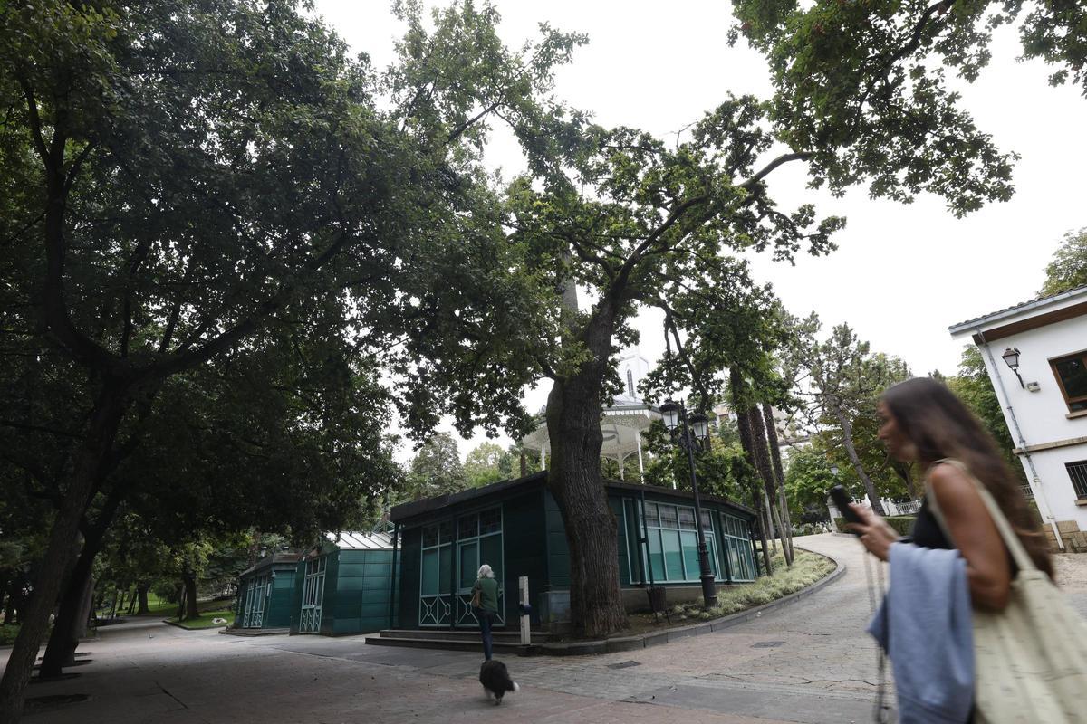 El Campo, un desconocido "Parque Jurásico" vegetal con especies arcaicas (alguna sobrevivió a los dinosaurios), en imágenes