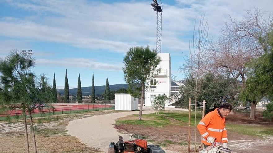Ontinyent mejora las zonas verdes del polideportivo