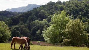 Parc Natural de la Zona Volcanica de la Garrotxa. Maria Geli Pilar Planagumà. Arxiu Imatges PTCBG