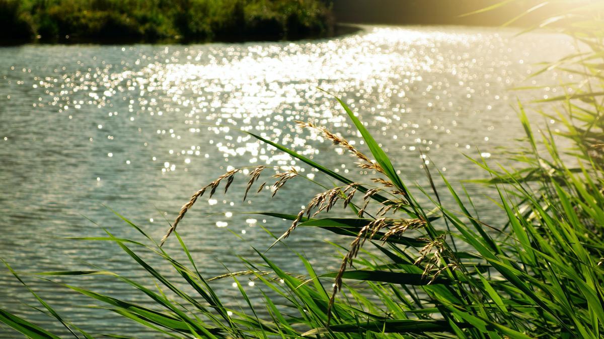 Más de la mitad de las aguas subterráneas españolas están contaminadas por nitratos, según Greenpeace