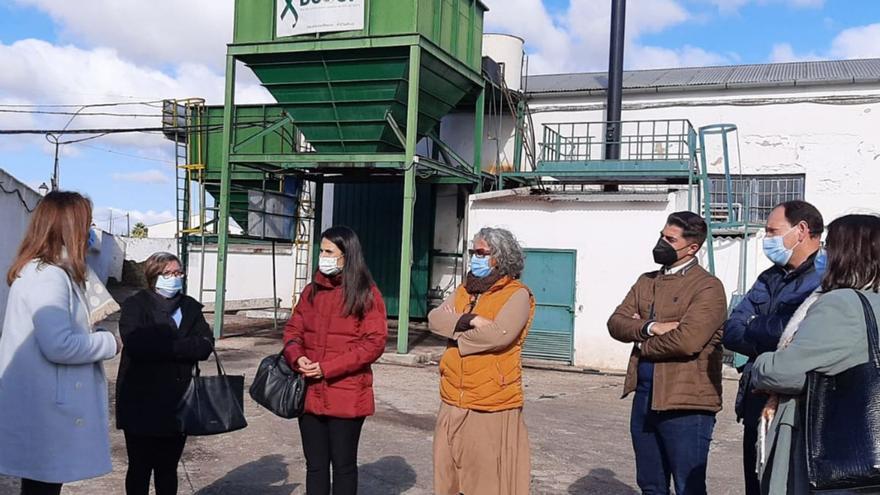 Visita de la coordinadora provincial del Instituto Andaluz de la Mujer a la cooperativa Dcoop. | L.O