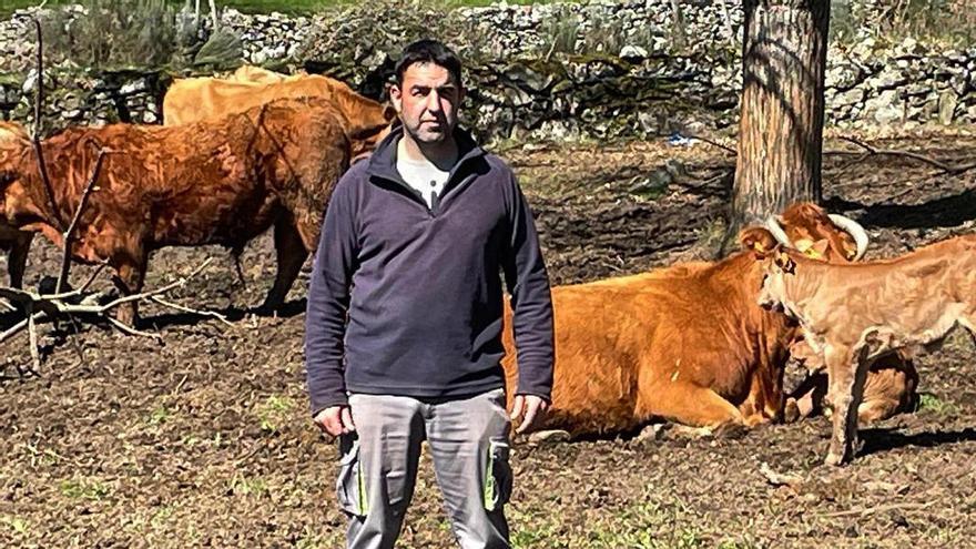 Secundino deberá sacrificar las 46 vacas que tiene: “Te quita la ganas de todo”