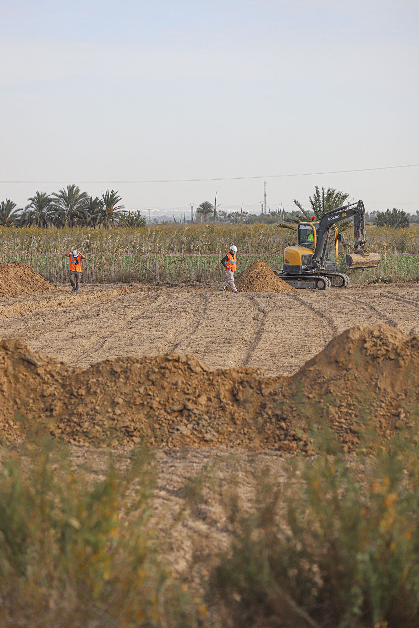 Excavaciones en el campo de concentración de Albatera para localizar una fosa común