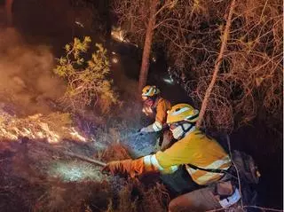 Extinguido el incendio de El Valle: ha calcinado más de dos hectáreas de monte