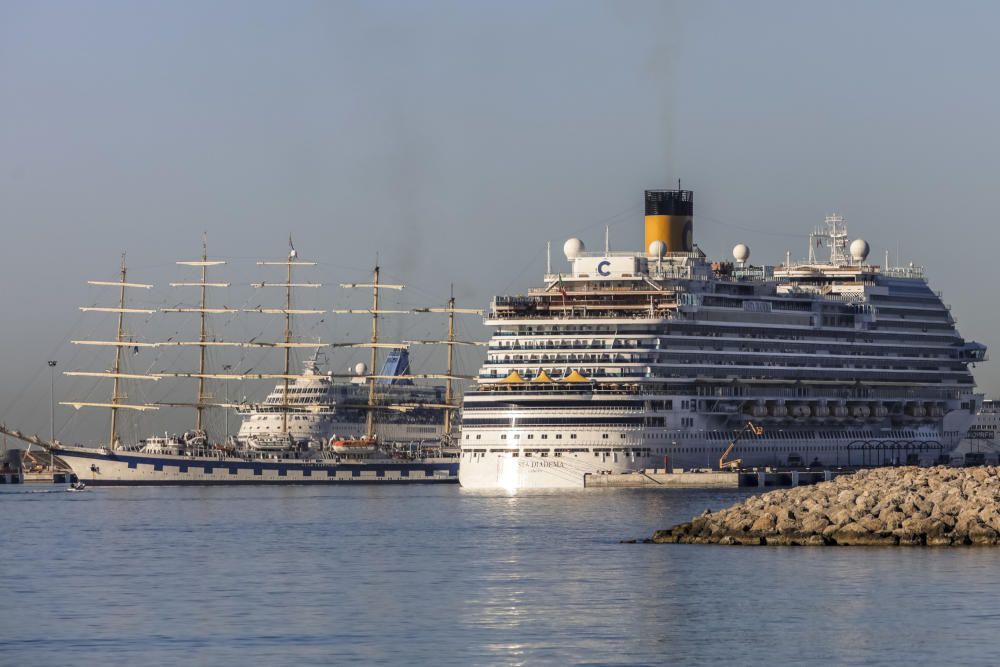 Kreuzfahrtschiffe zu Besuch im Hafen von Palma