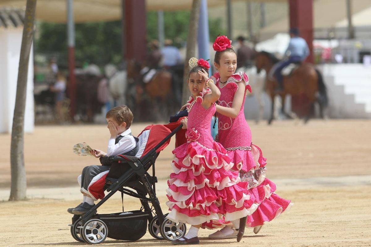 Fotogalería / Viernes de Feria en Córdoba