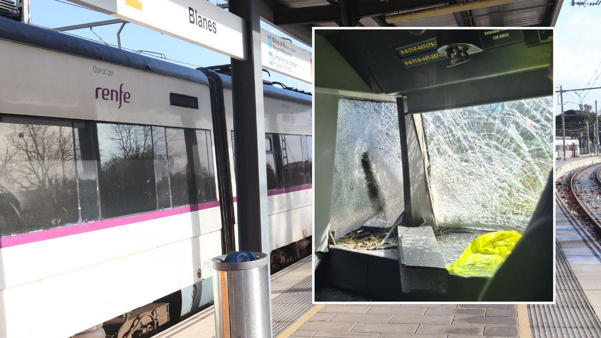A la imatge de fons, un tren de Rodalies, i a la dreta, els desperfectes que ha provocat l'arbre al tren de Sant Jordi Desvalls