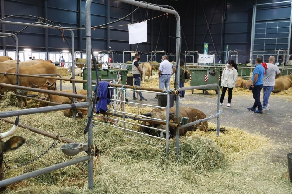 Agropec cierra su cita en Gijón