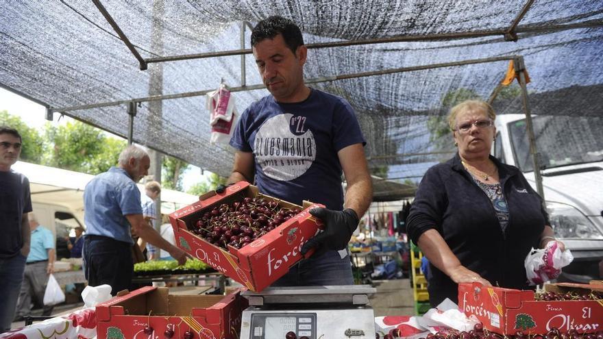 Guía de la Feira das Cereixas de Paiosaco 2026: Horarios, conciertos y talleres