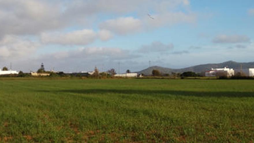 Detalle de la zona en cuyo entorno se ha proyectado la piscifactoría ahora rechazada.