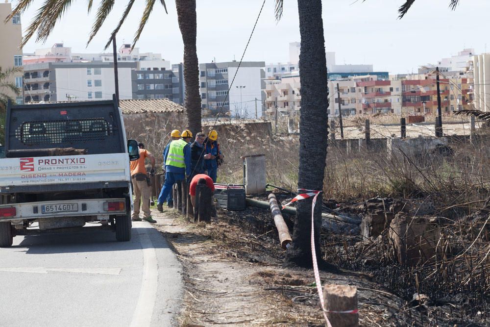 El día después del incendio en ses Feixes