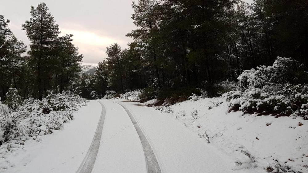 Nieve en las zonas altas de la Región