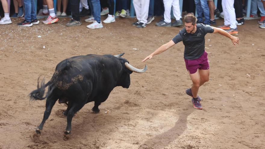 8 pueblos hacen toros en Castellón este primer fin de semana de junio