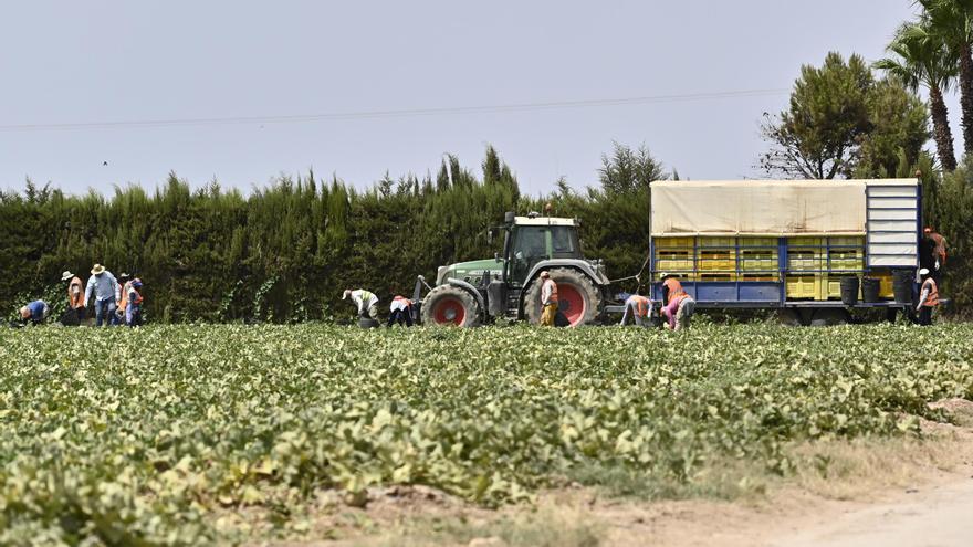 Vélez: &quot;PP y VOX no se atreven a sancionar a las grandes empresas que abusan de los agricultores&quot;