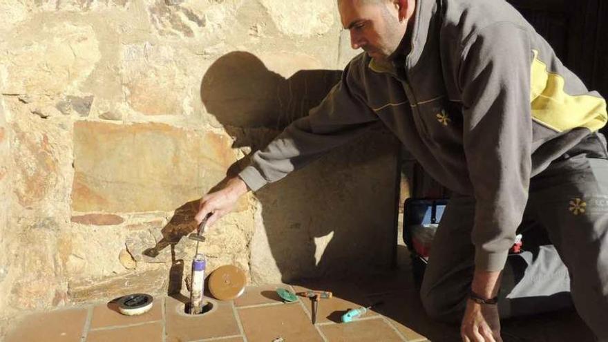 Un técnico extrae un cebo de una oquedad realizada en el suelo del perímetro de la iglesia de Manganeses.